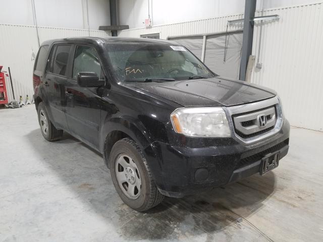 HONDA PILOT LX 2010 5fnyf4h21ab023126