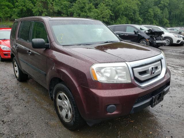 HONDA PILOT LX 2010 5fnyf4h24ab007146