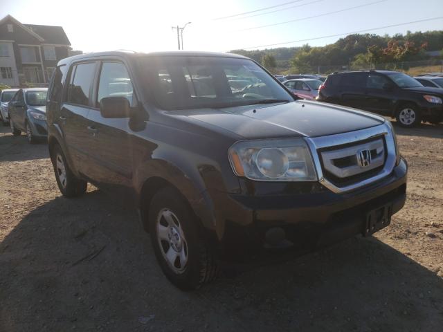 HONDA PILOT LX 2010 5fnyf4h25ab008208