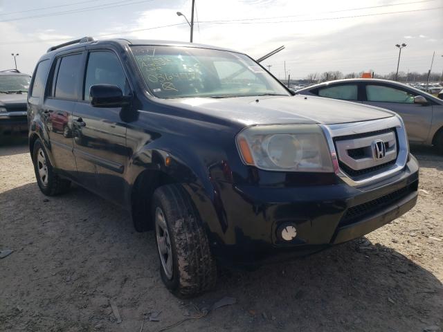 HONDA PILOT LX 2011 5fnyf4h25bb036477