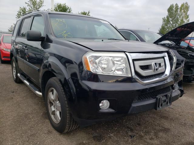 HONDA PILOT LX 2011 5fnyf4h25bb507057