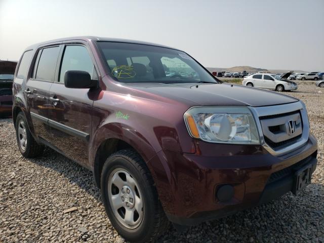 HONDA PILOT LX 2011 5fnyf4h2xbb097968