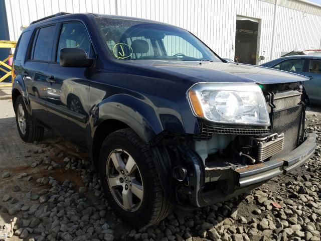 HONDA PILOT LX 2011 5fnyf4h2xbb103509