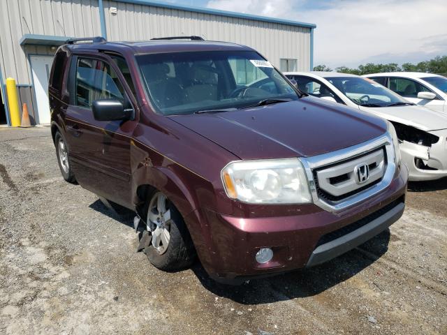 HONDA PILOT EX 2010 5fnyf4h40ab031932