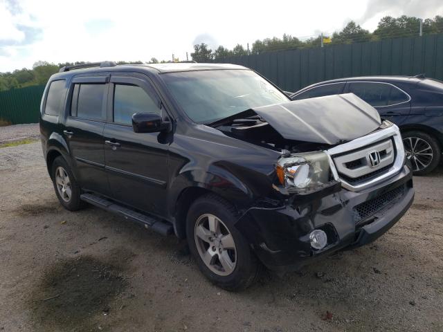 HONDA PILOT EX 2011 5fnyf4h40bb006711