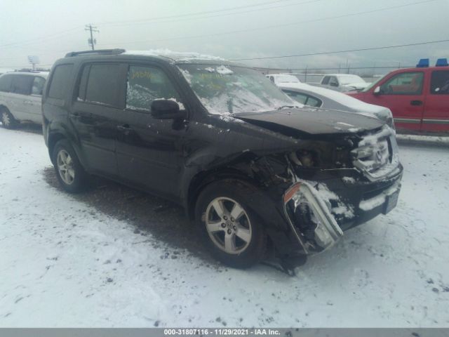 HONDA PILOT 2011 5fnyf4h40bb051275