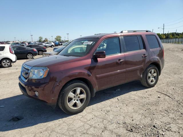 HONDA PILOT EX 2011 5fnyf4h40bb059053