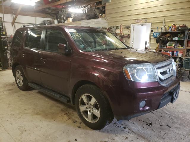 HONDA PILOT EX 2011 5fnyf4h40bb064818