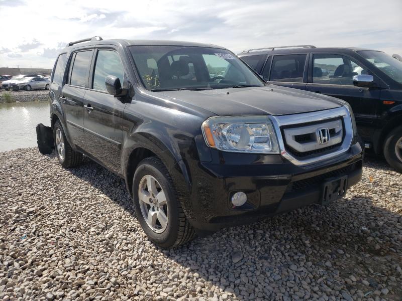 HONDA PILOT EX 2011 5fnyf4h40bb088228