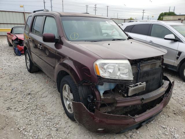 HONDA PILOT EX 2010 5fnyf4h41ab015173