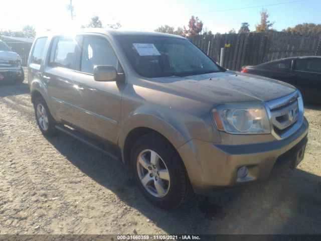 HONDA PILOT 2010 5fnyf4h41ab016405