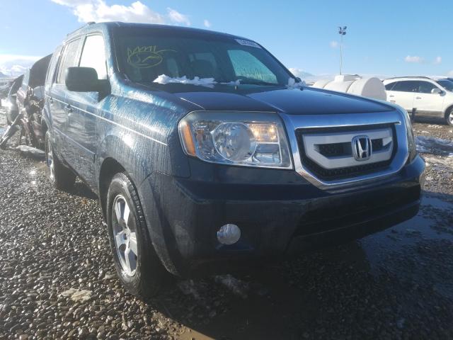 HONDA PILOT EX 2010 5fnyf4h41ab030496