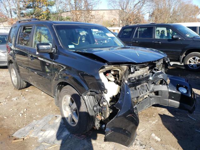 HONDA PILOT EX 2011 5fnyf4h41bb028488