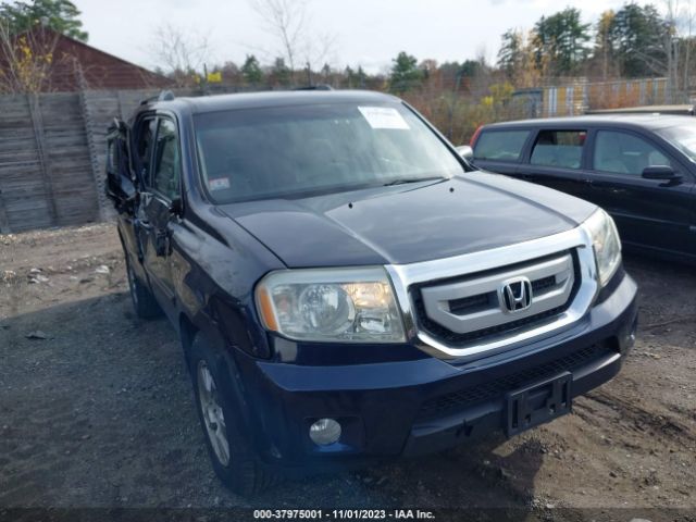 HONDA PILOT 2011 5fnyf4h41bb041905