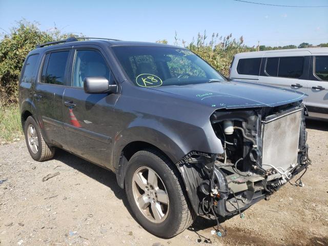 HONDA PILOT EX 2011 5fnyf4h41bb046523