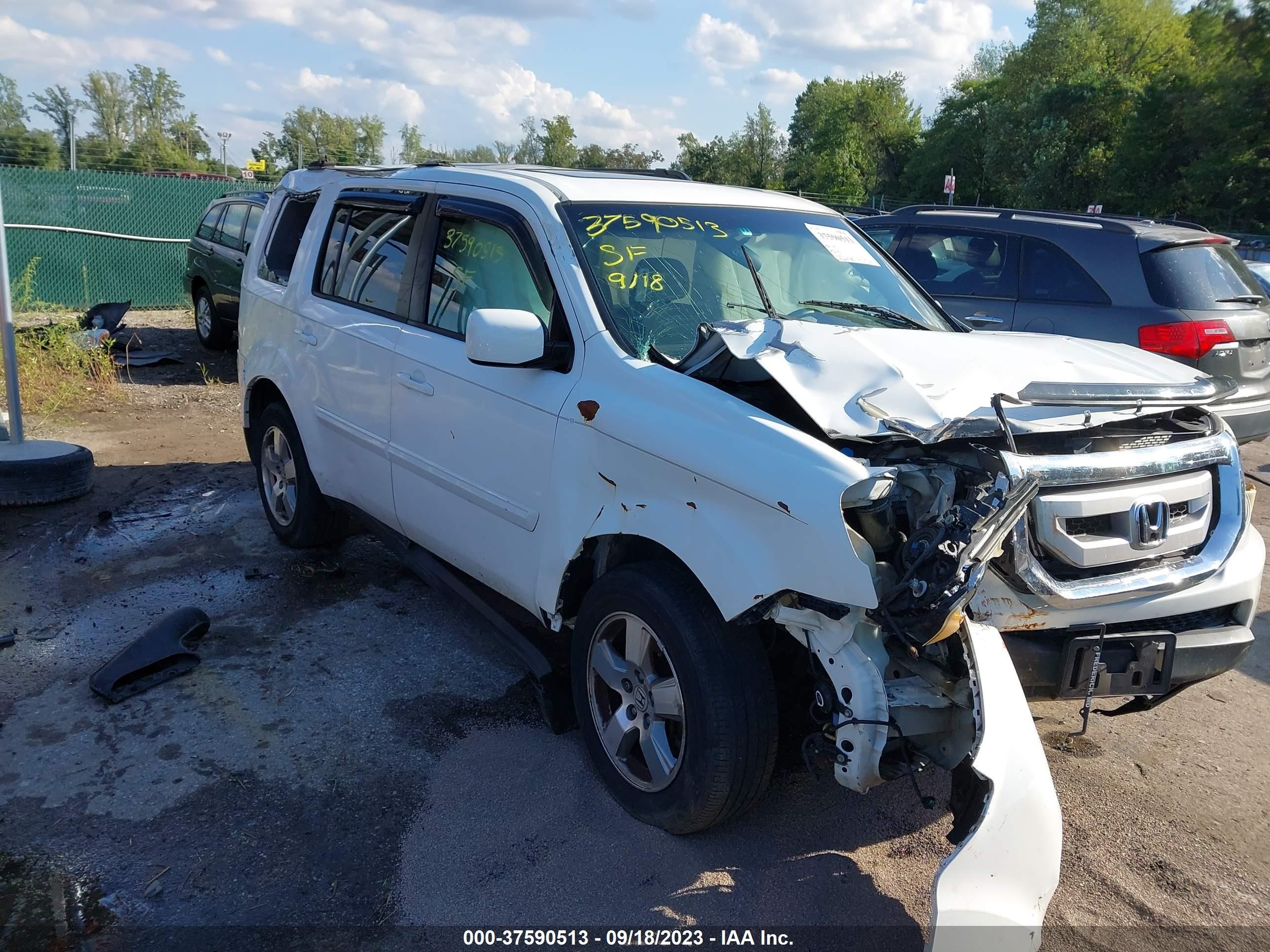 HONDA PILOT 2011 5fnyf4h41bb048157