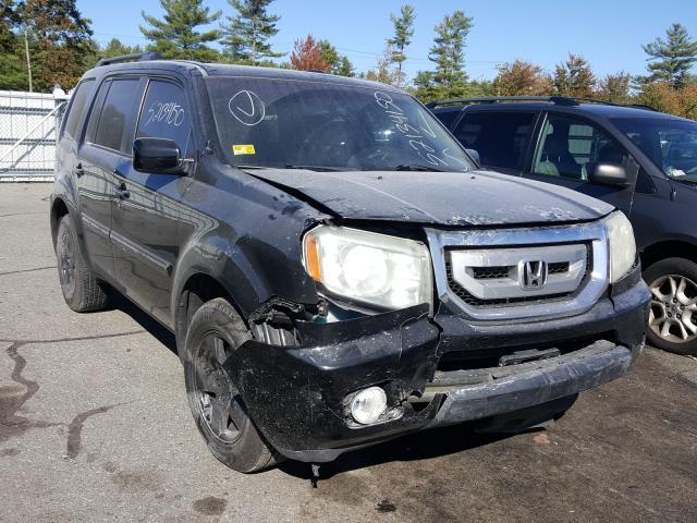 HONDA PILOT EX 2011 5fnyf4h41bb051348