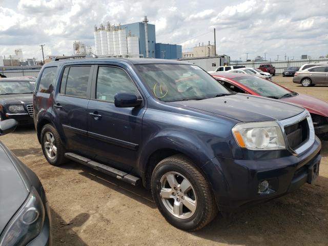 HONDA PILOT EX 2011 5fnyf4h41bb073270