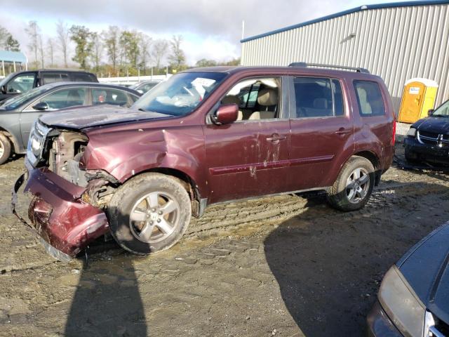 HONDA PILOT EX 2011 5fnyf4h41bb090313