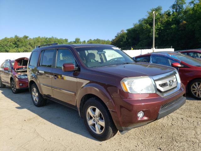 HONDA PILOT EX 2010 5fnyf4h42ab006031