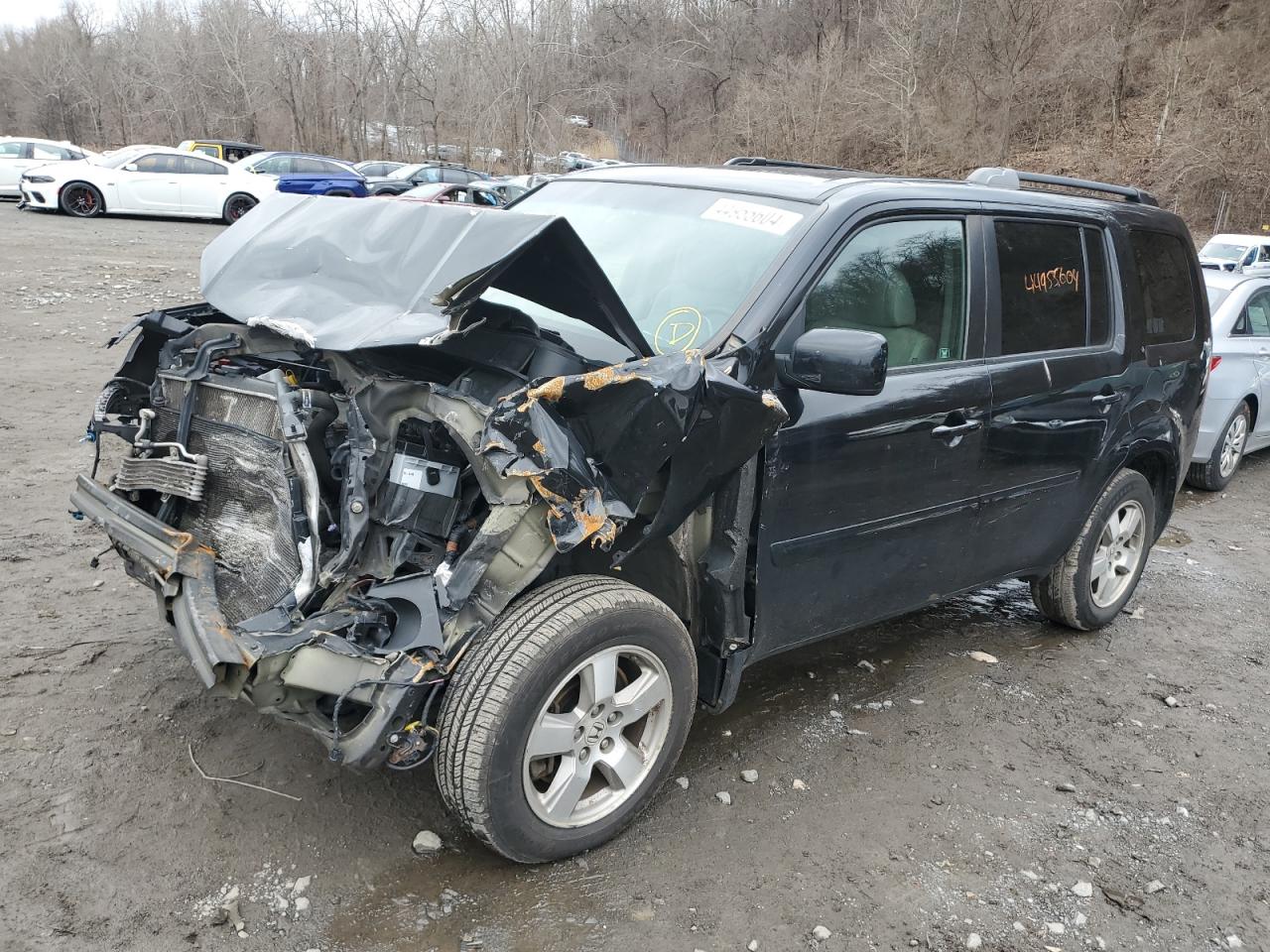 HONDA PILOT 2010 5fnyf4h42ab011570