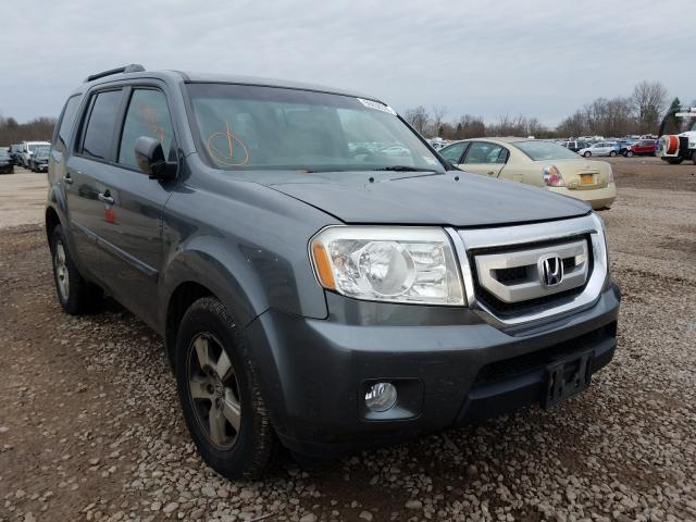 HONDA PILOT EX 2010 5fnyf4h42ab031527