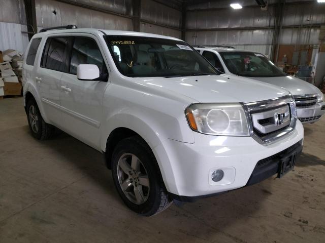 HONDA PILOT EX 2011 5fnyf4h42bb001431