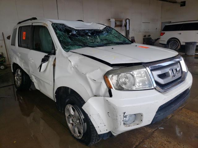 HONDA PILOT EX 2011 5fnyf4h42bb023123