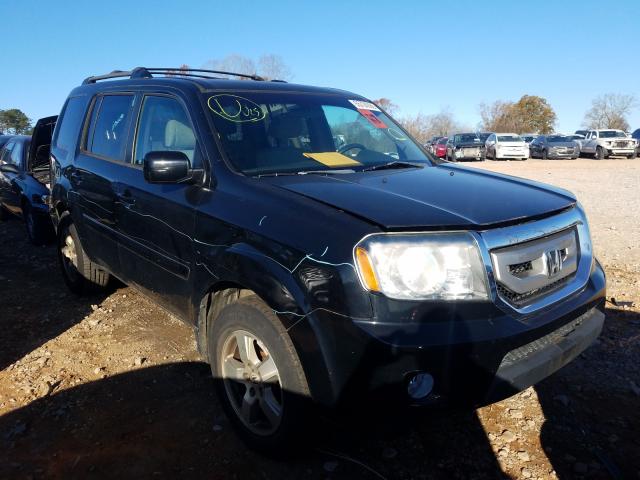 HONDA PILOT EX 2011 5fnyf4h42bb106728