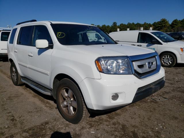 HONDA PILOT EX 2010 5fnyf4h43ab002974