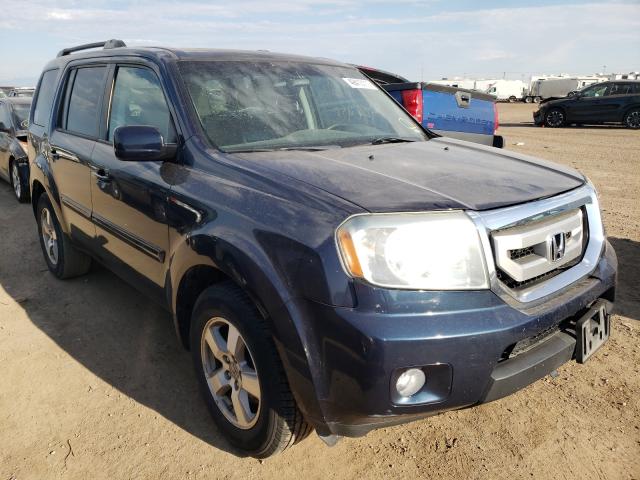 HONDA PILOT EX 2010 5fnyf4h43ab006572