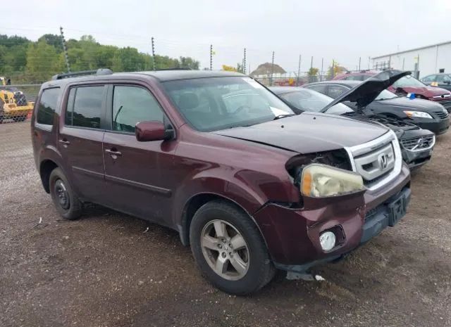 HONDA PILOT 2010 5fnyf4h43ab015157