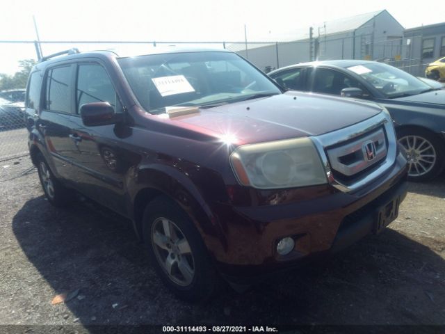 HONDA PILOT 2010 5fnyf4h43ab015210