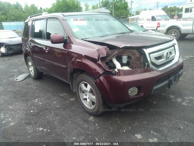 HONDA PILOT 2010 5fnyf4h43ab028023