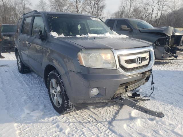 HONDA PILOT EX 2011 5fnyf4h43bb025186