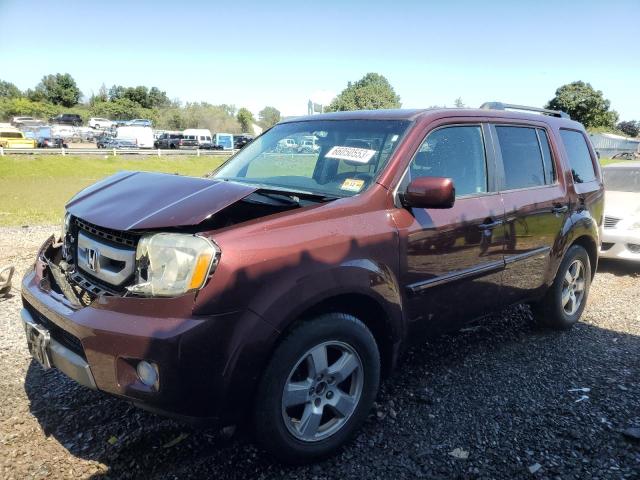 HONDA PILOT EX 2011 5fnyf4h43bb040433