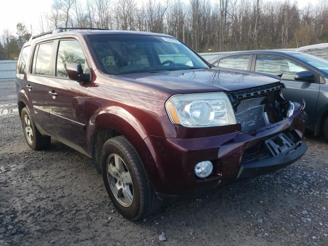 HONDA PILOT EX 2011 5fnyf4h43bb051545