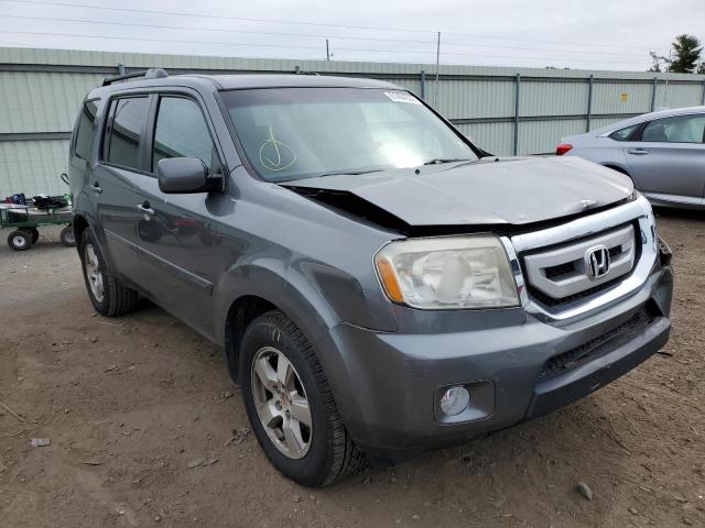 HONDA PILOT EX 2011 5fnyf4h43bb064795