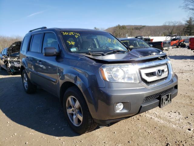 HONDA PILOT EX 2011 5fnyf4h43bb073223