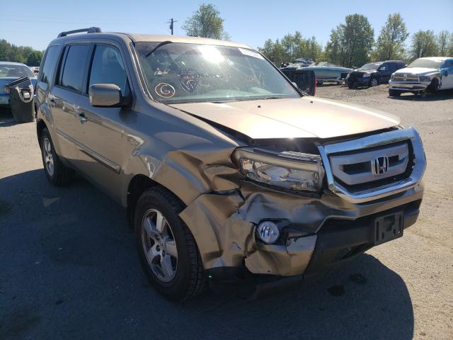 HONDA PILOT EX 2011 5fnyf4h43bb103143