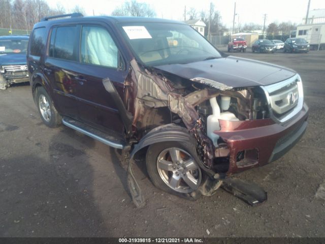 HONDA PILOT 2010 5fnyf4h44ab006029