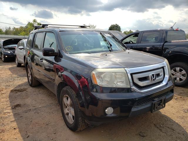 HONDA PILOT EX 2011 5fnyf4h44bb004072