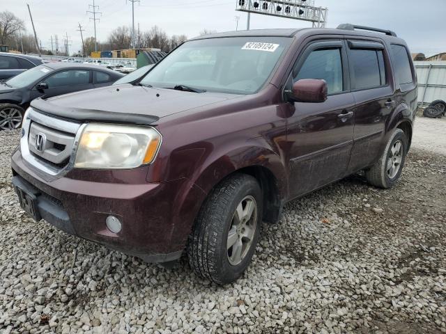 HONDA PILOT EX 2011 5fnyf4h44bb005528