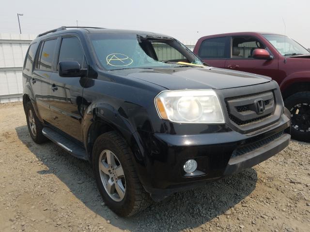 HONDA PILOT EX 2011 5fnyf4h44bb006713