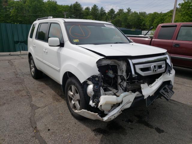 HONDA PILOT EX 2011 5fnyf4h44bb014519