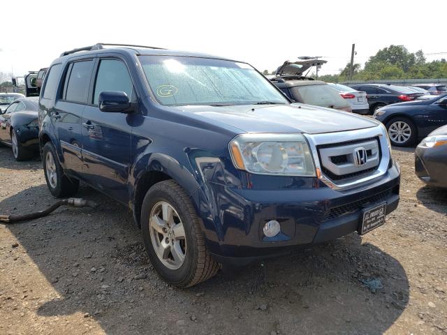 HONDA PILOT EX 2011 5fnyf4h44bb057371