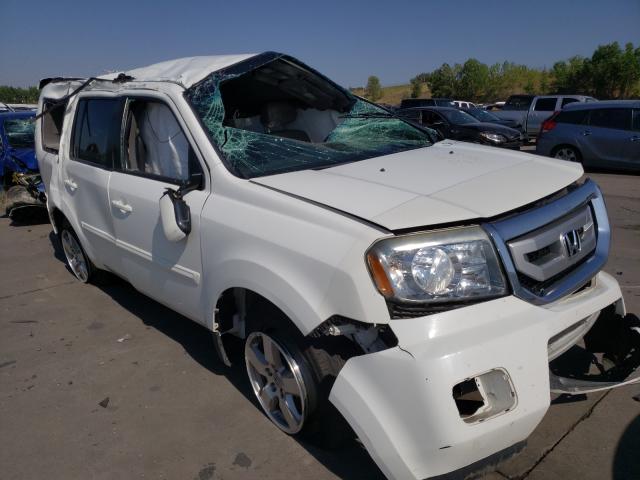 HONDA PILOT EX 2011 5fnyf4h44bb064935