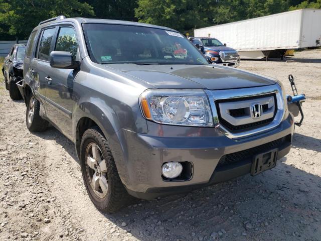 HONDA PILOT EX 2011 5fnyf4h44bb075174