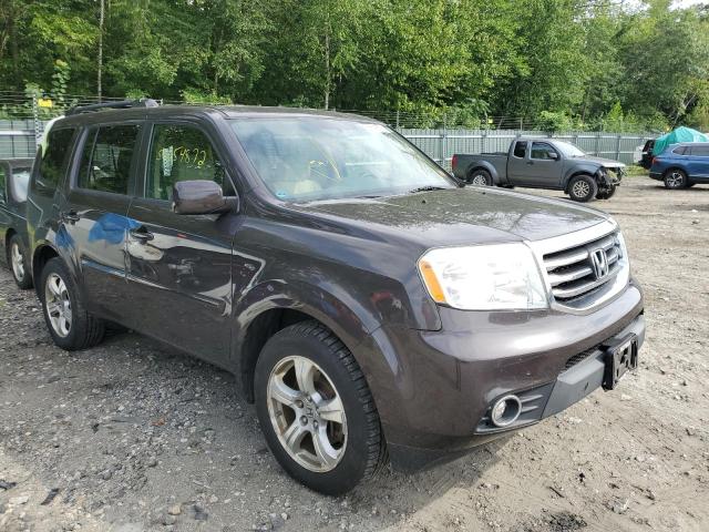 HONDA PILOT EX 2014 5fnyf4h44eb019501