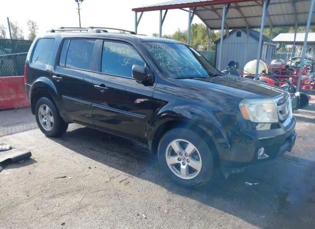 HONDA PILOT 2011 5fnyf4h45bb031989